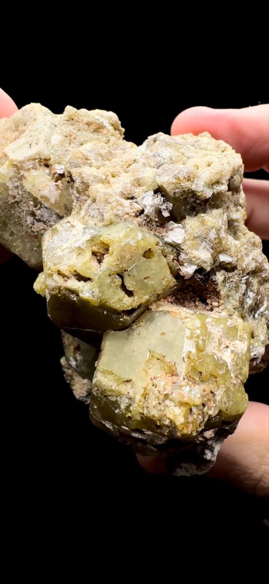 011- Leopard Skin Andradite Garnet