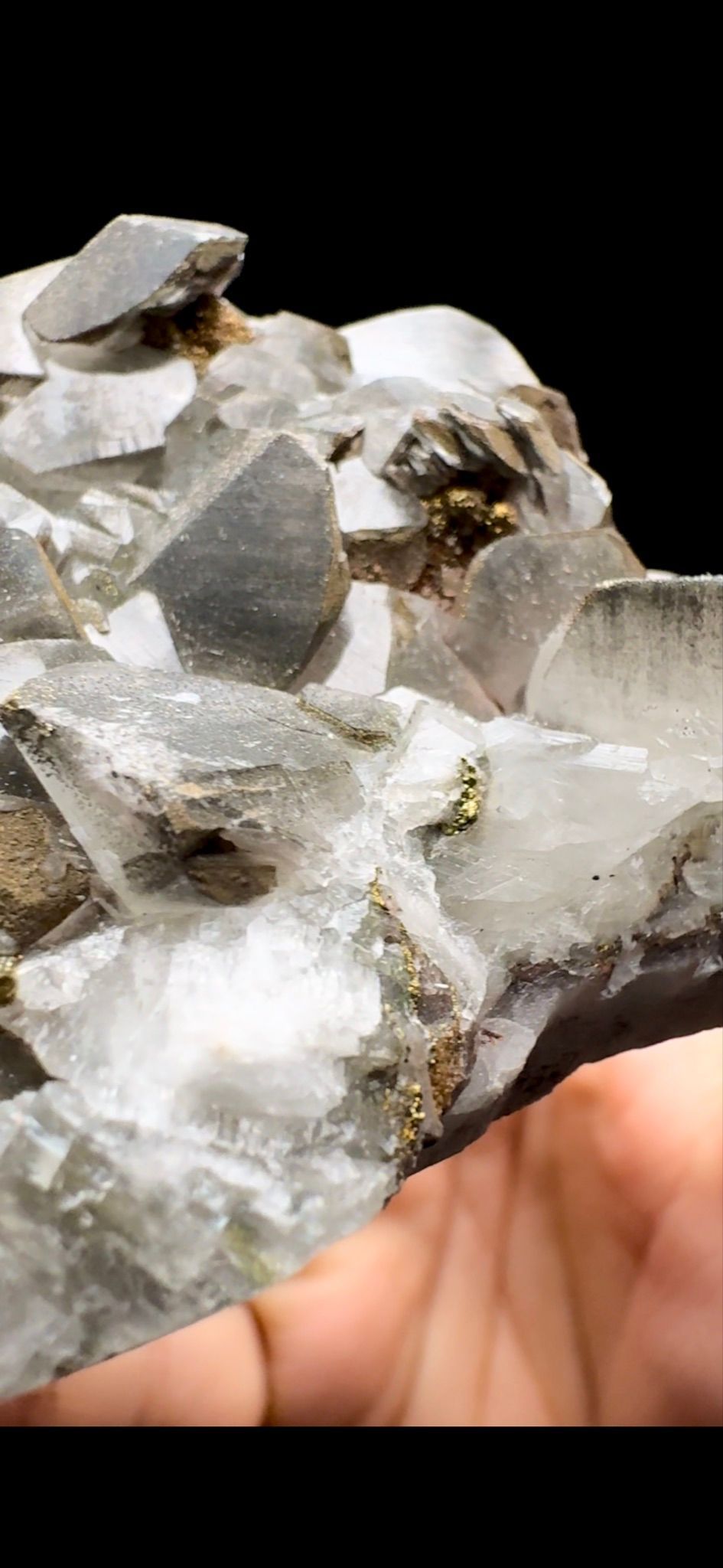 561- Calcite With Pyrite