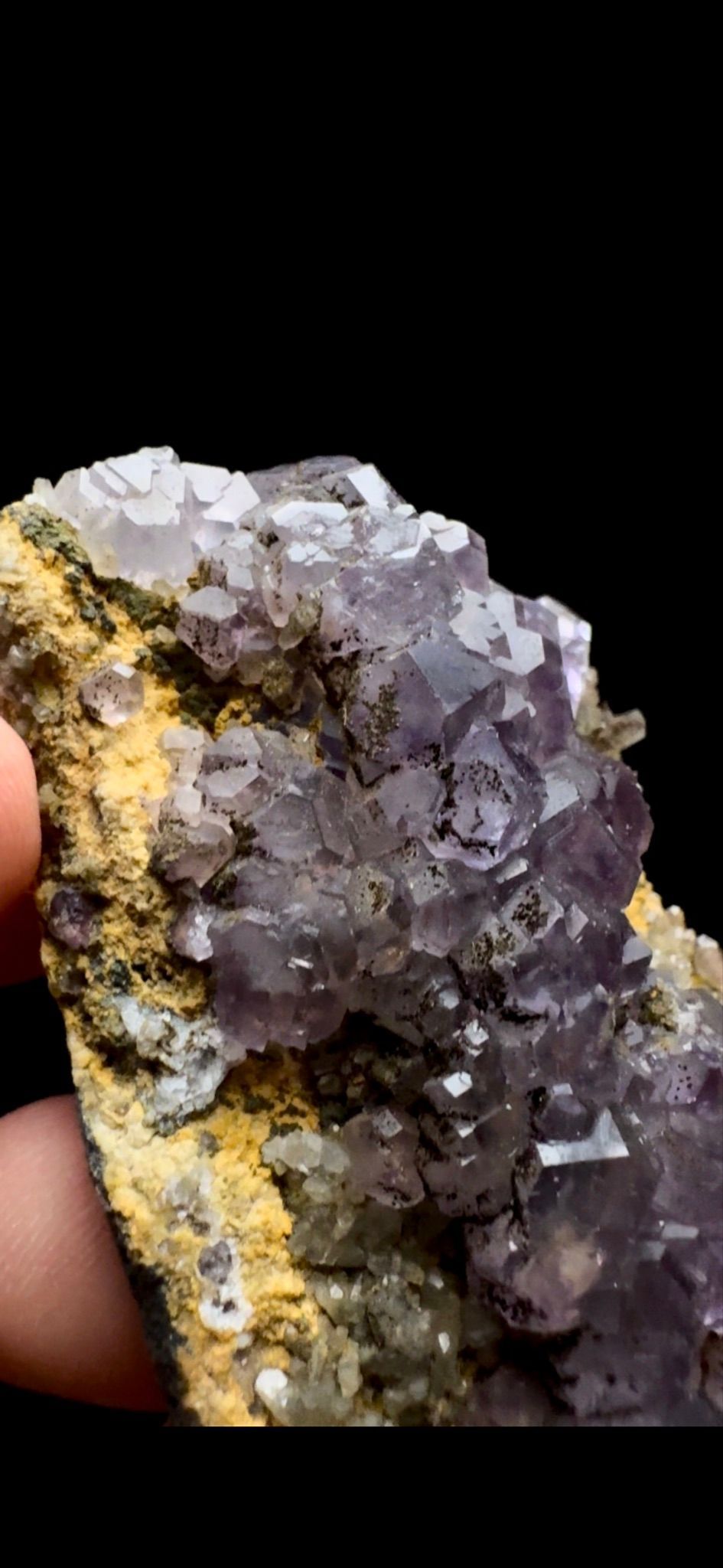 0472- Tanzanite Fluorite