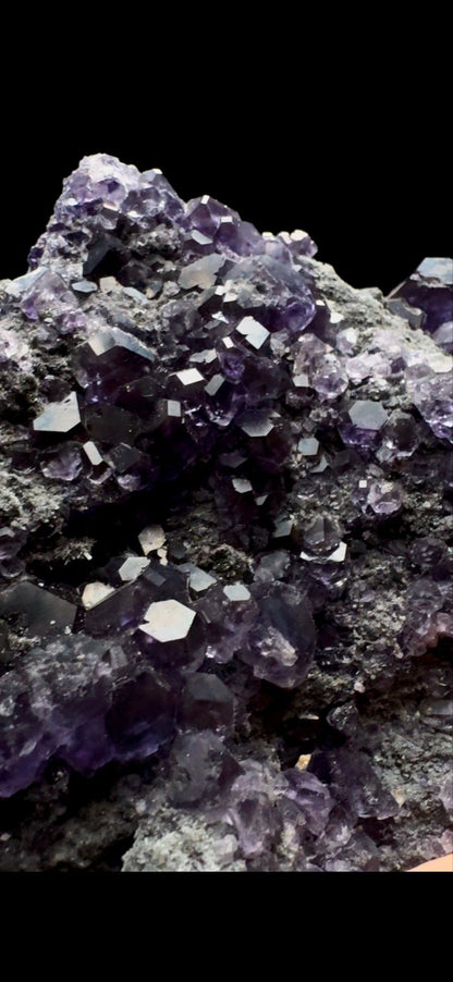 0408- Tanzanite Fluorite