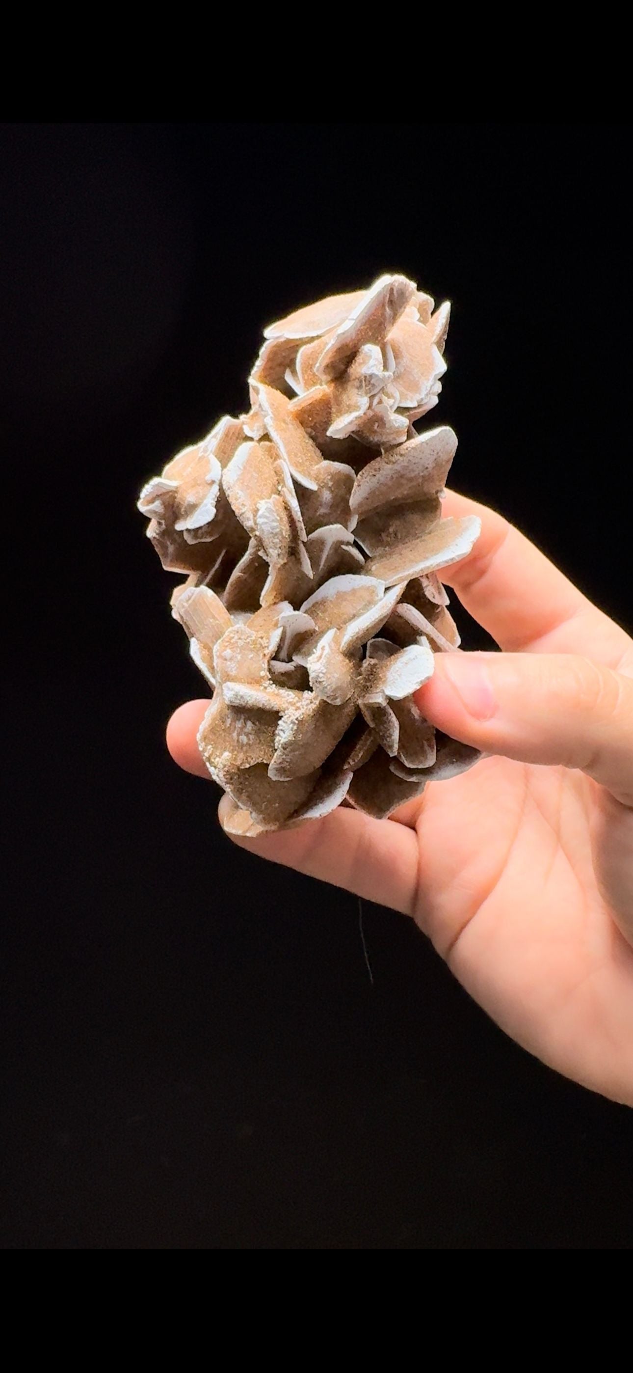 316- Sand Gypsum