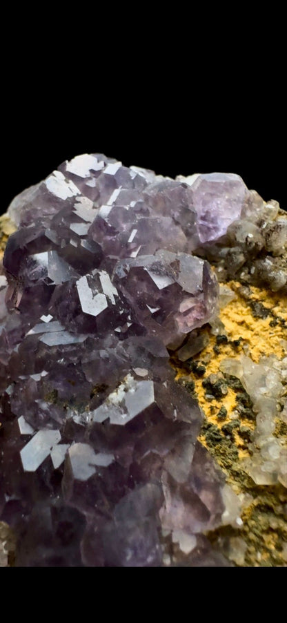 0472- Tanzanite Fluorite