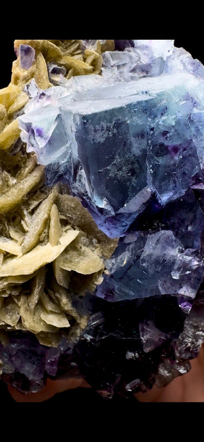 490- Fluorite With Mica