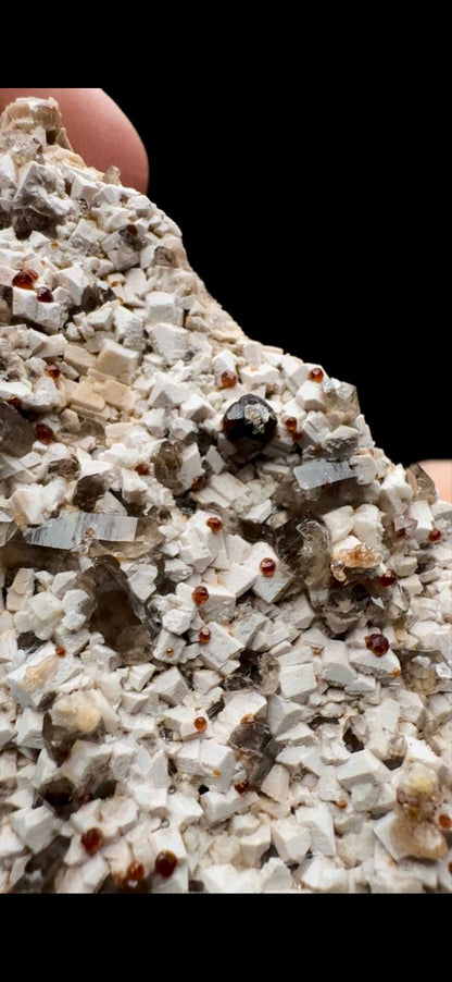 150- Garnet on Smokey Quartz