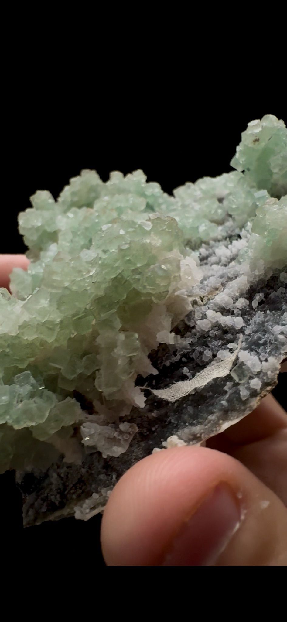 0292- Botryoidal Fluorite with Calcite