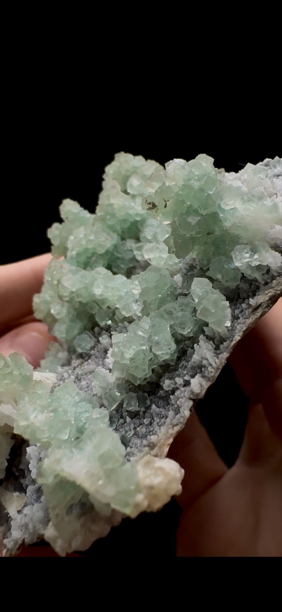 0292- Botryoidal Fluorite with Calcite