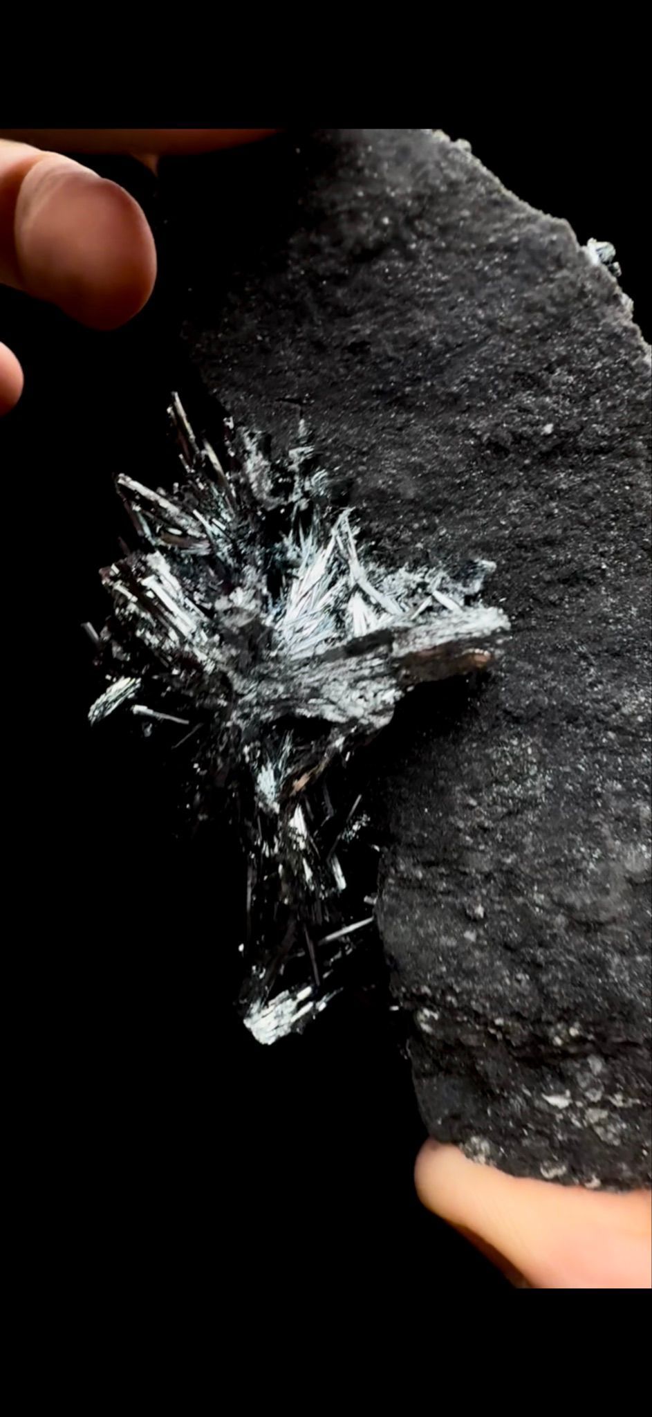 052- Stibnite- DELICATE (Read Description)