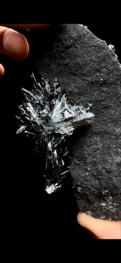 052- Stibnite- DELICATE (Read Description)