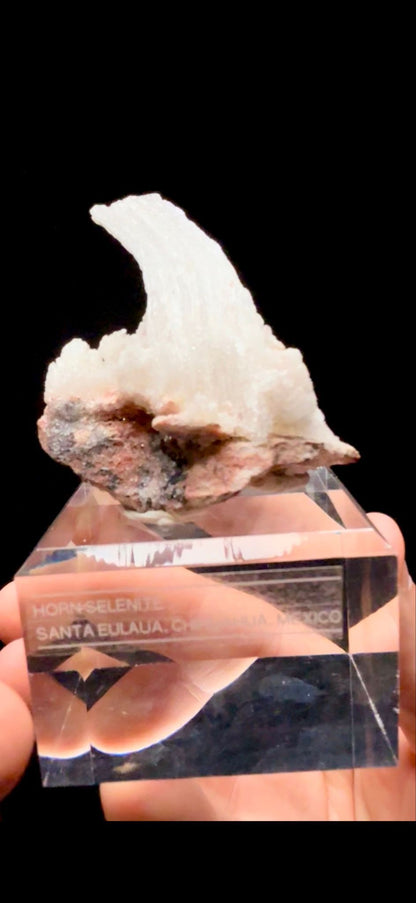 853- Horn Selenite