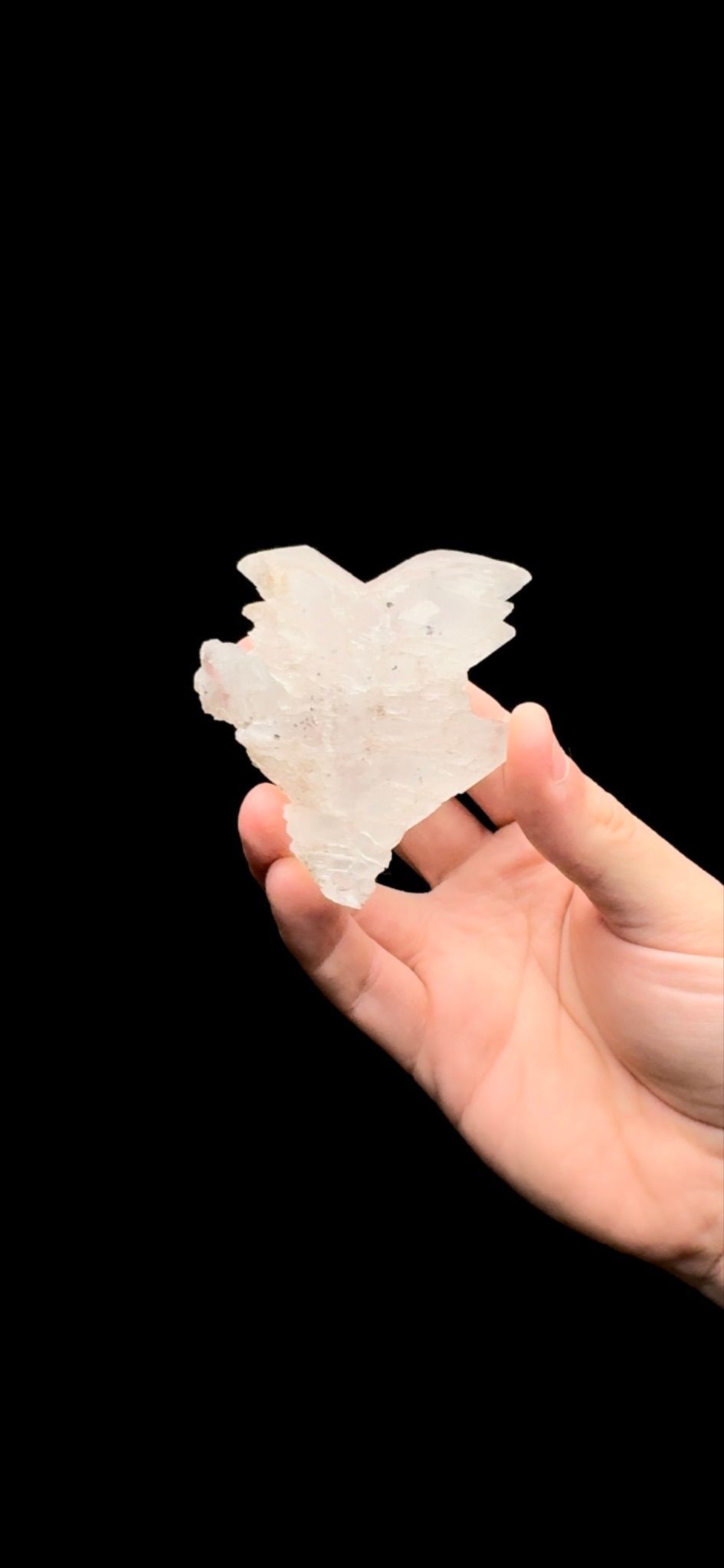 115- Fish Tail Selenite