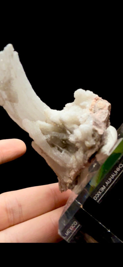 853- Horn Selenite