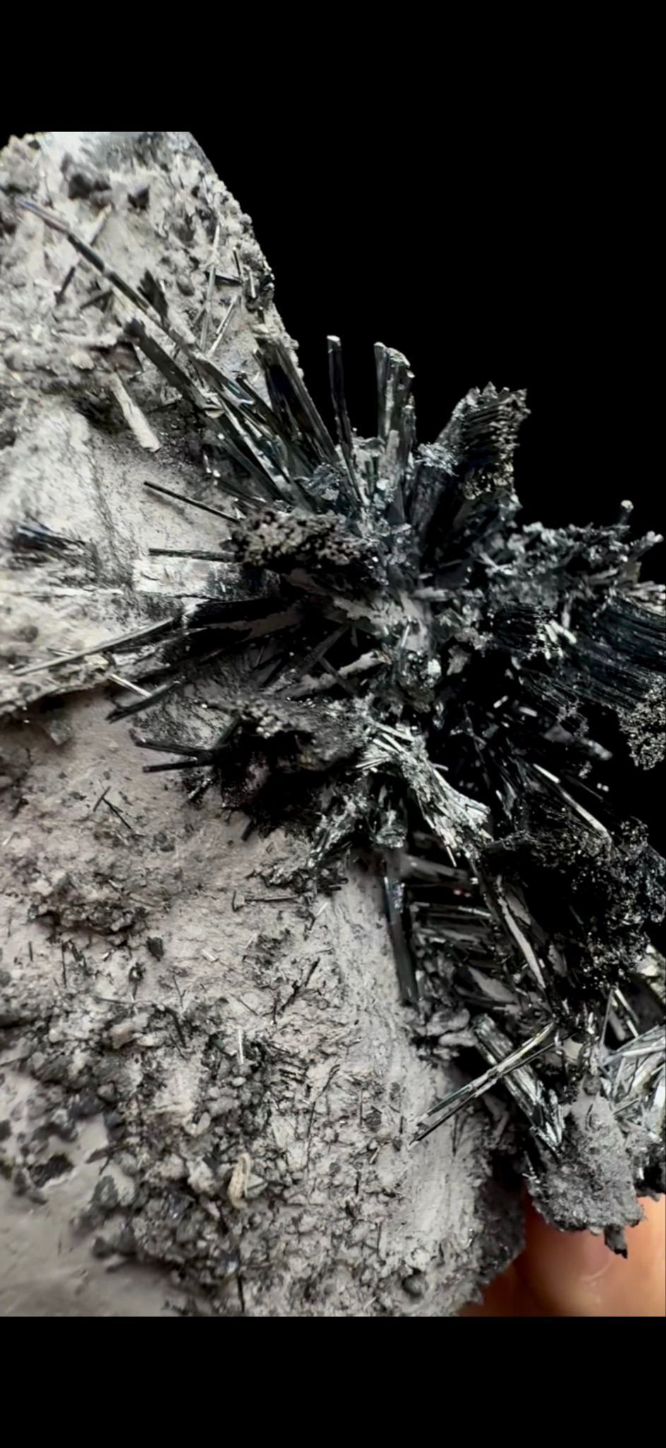 052- Stibnite- DELICATE (Read Description)