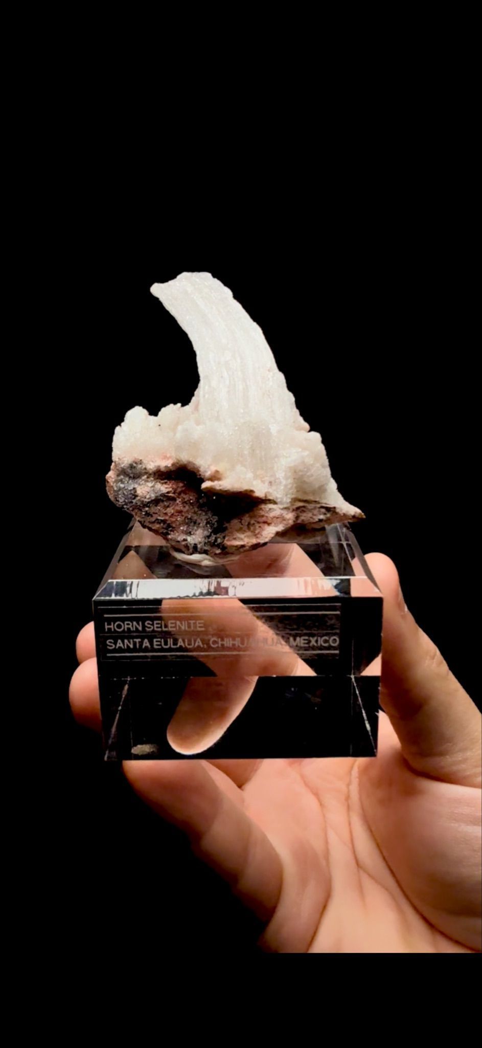 853- Horn Selenite