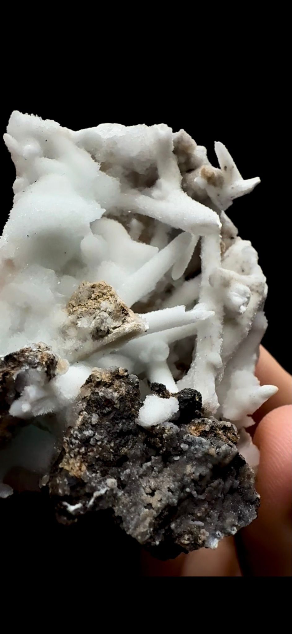 0401- Aragonite