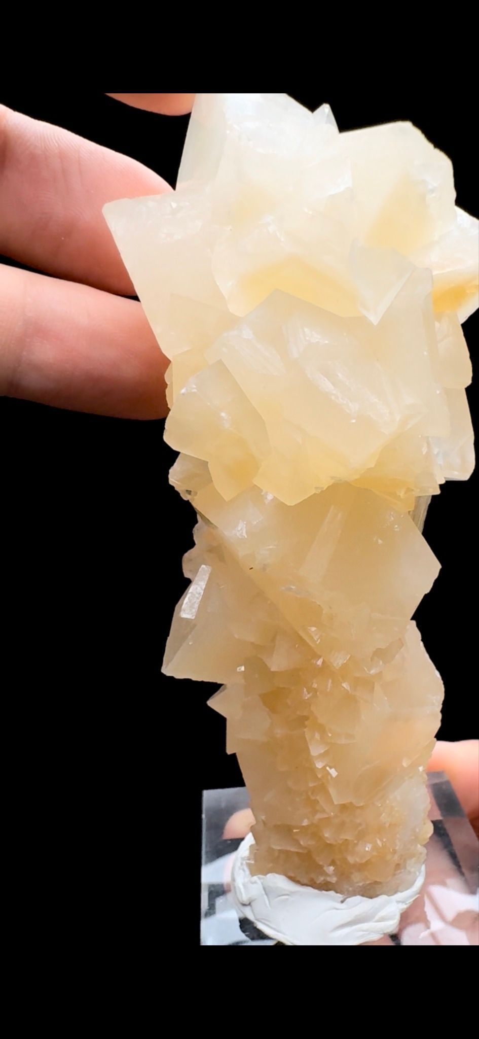 459- Aragonite