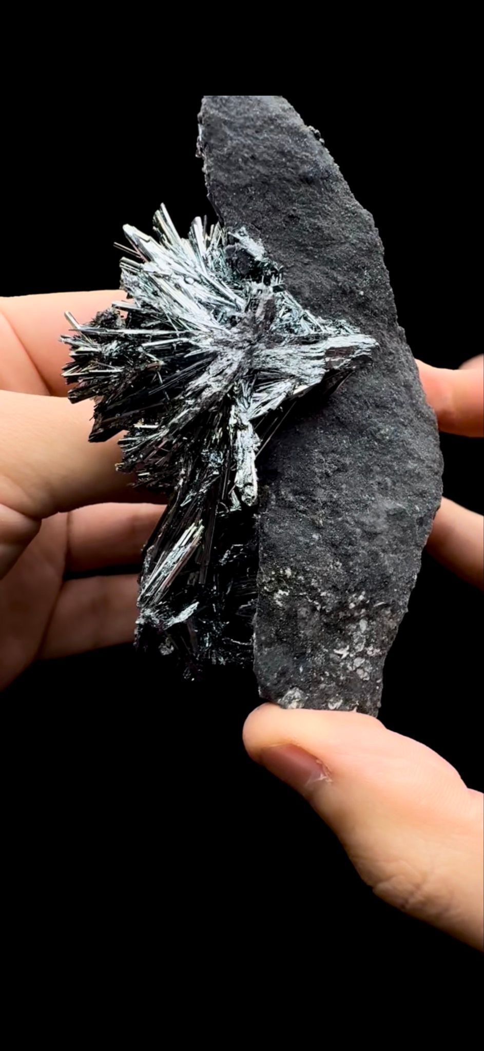 052- Stibnite- DELICATE (Read Description)