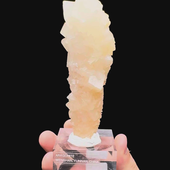 Specimen rotation video 459
