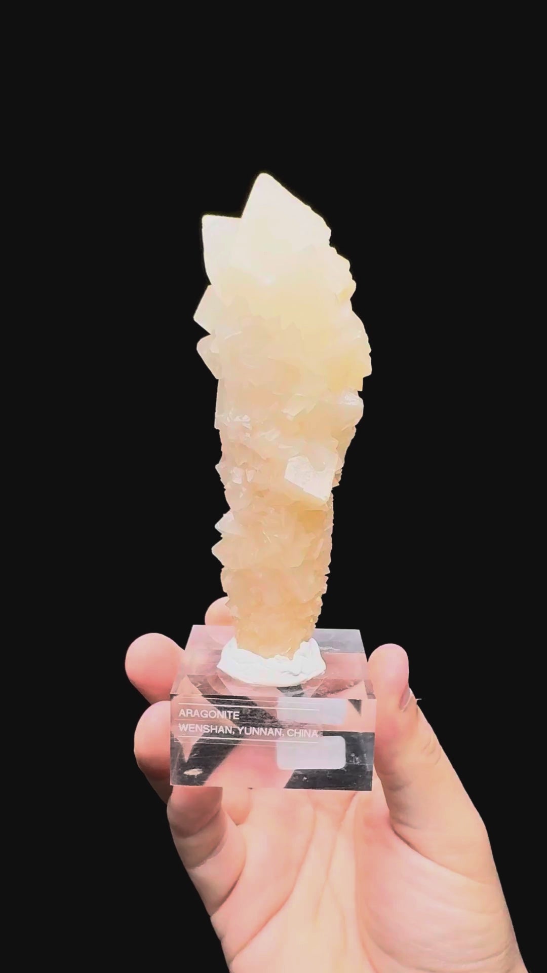 Specimen rotation video 459