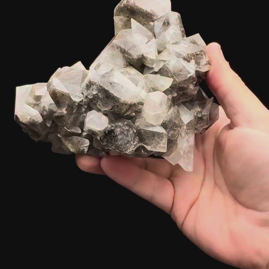 Specimen rotation video 477