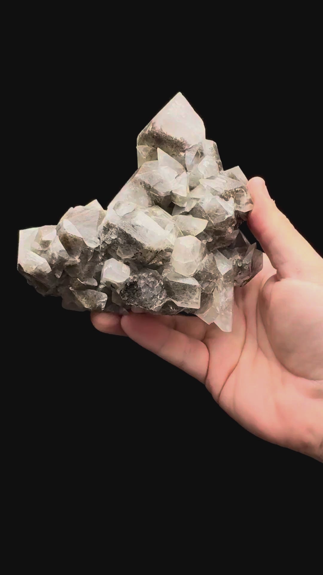 Specimen rotation video 477