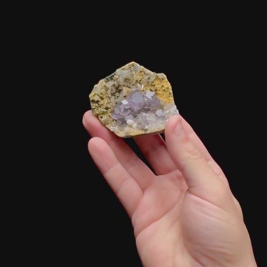 Specimen rotation video 0473