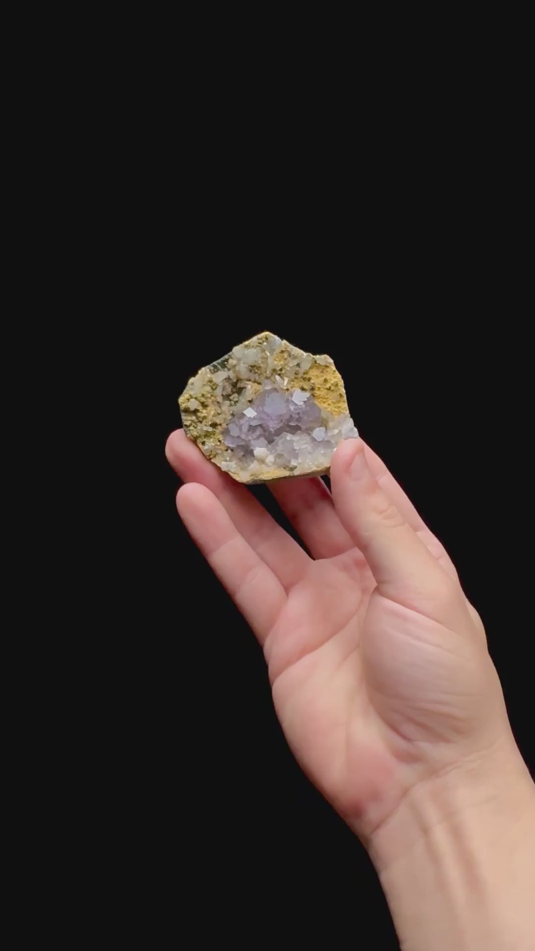 Specimen rotation video 0473