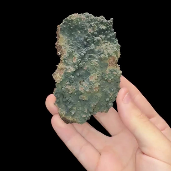 Specimen rotation video 0680