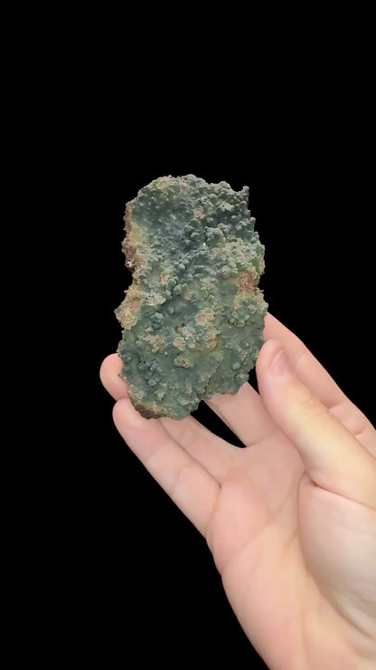 Specimen rotation video 0680
