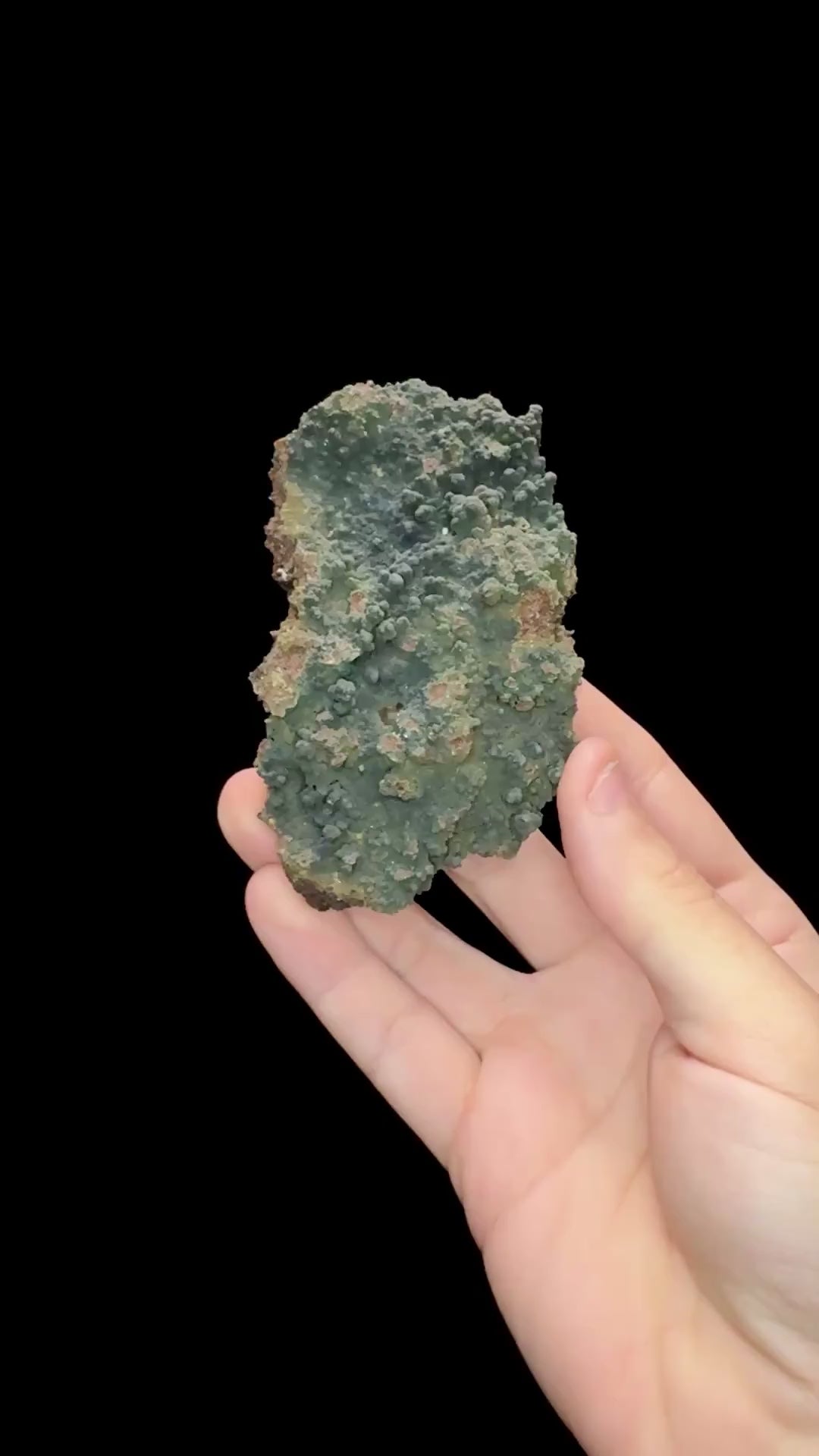 Specimen rotation video 0680