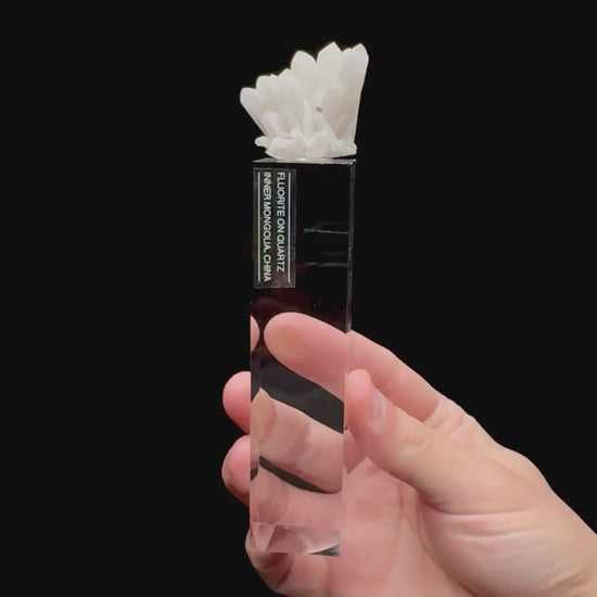 Specimen rotation video 096
