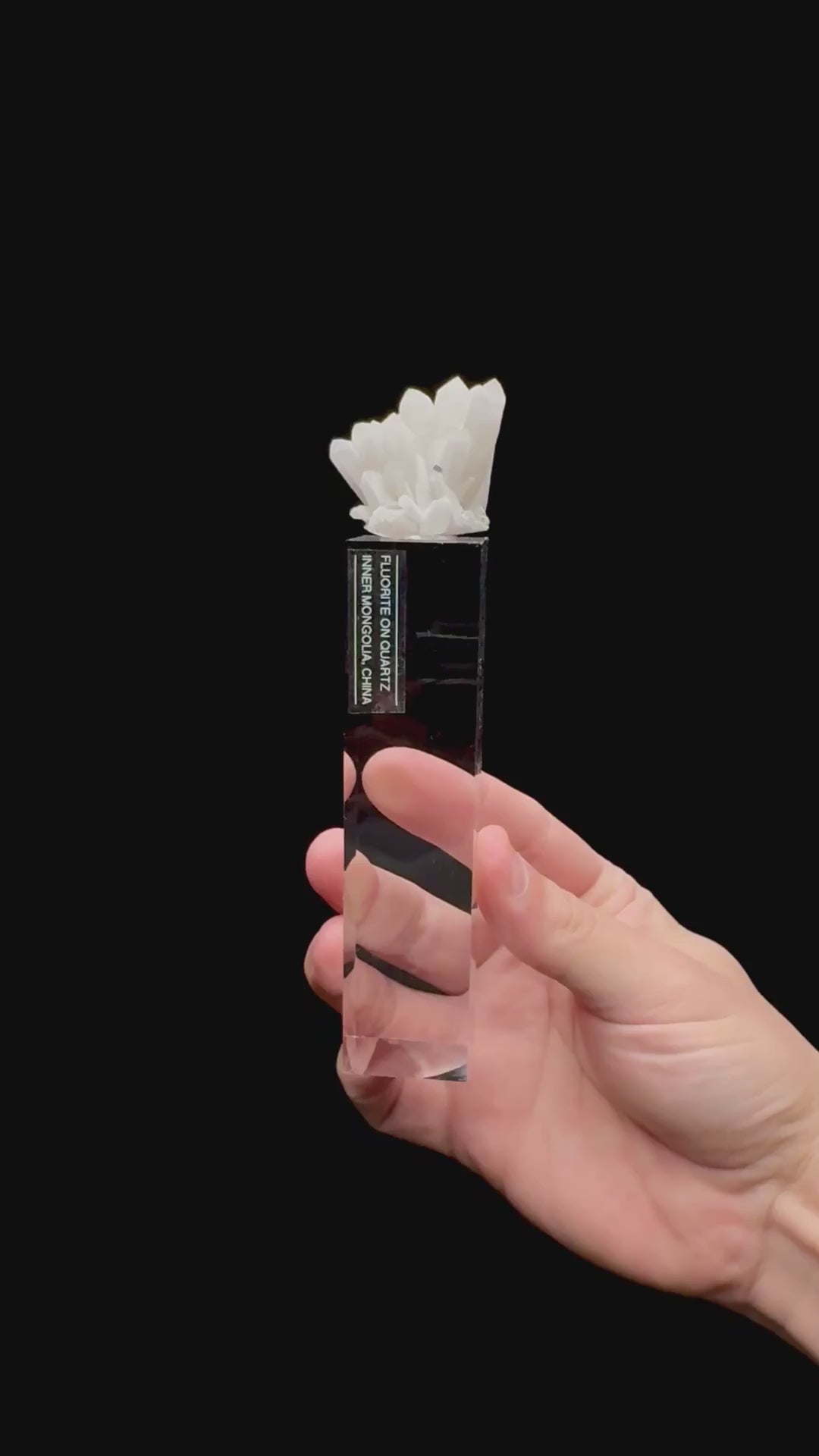Specimen rotation video 096