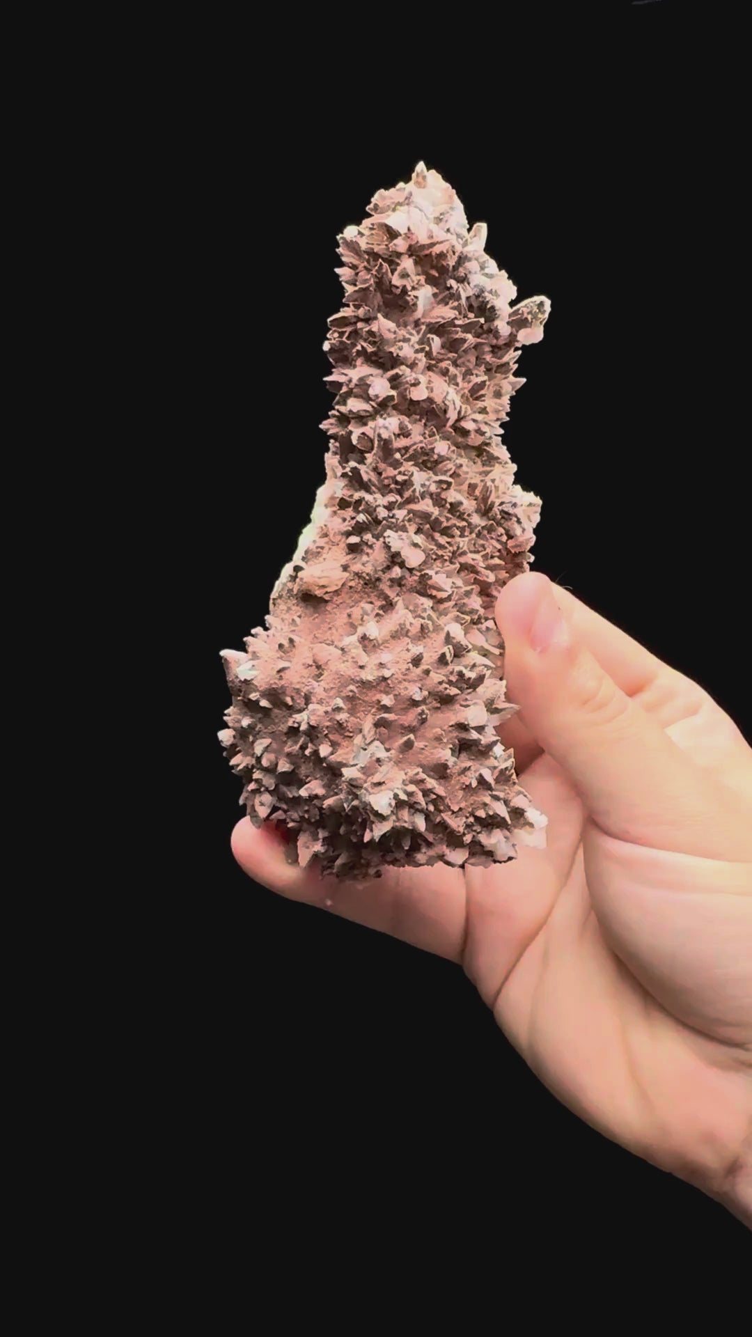 Specimen rotation video 511