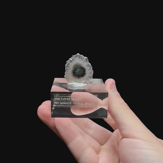 Specimen rotation video 0356