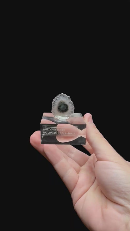 Specimen rotation video 0356