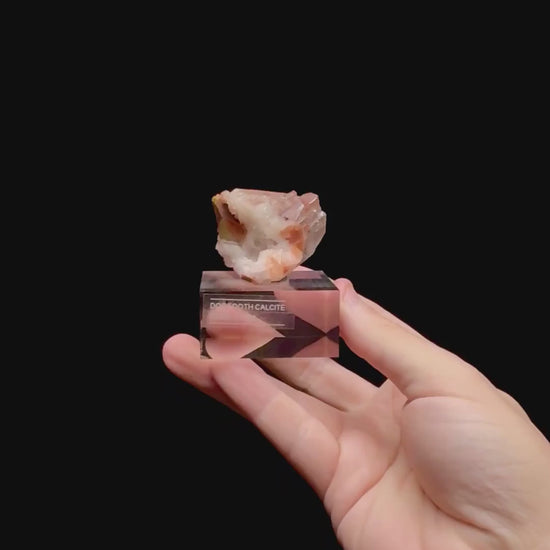 Specimen rotation video 0440