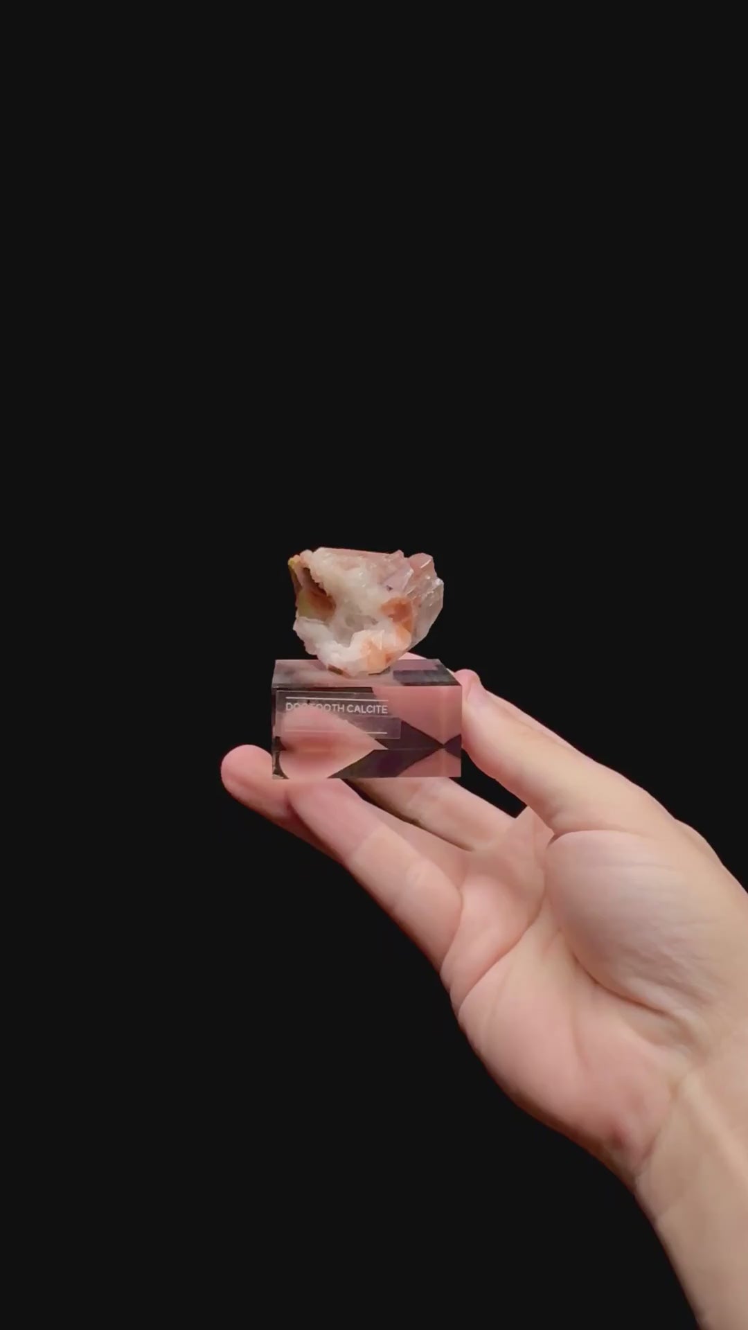 Specimen rotation video 0440