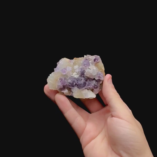 Specimen rotation video 0475