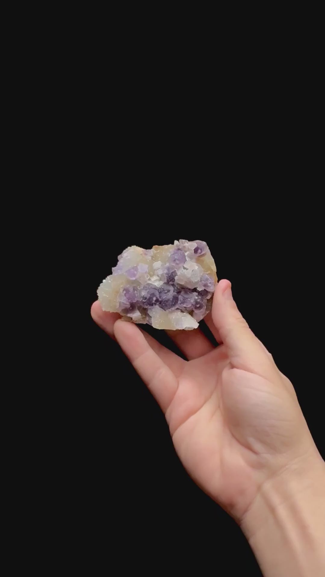 Specimen rotation video 0475