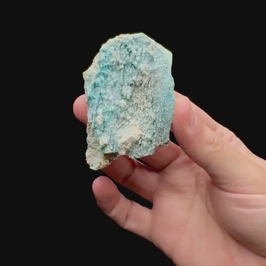 Specimen rotation video 146
