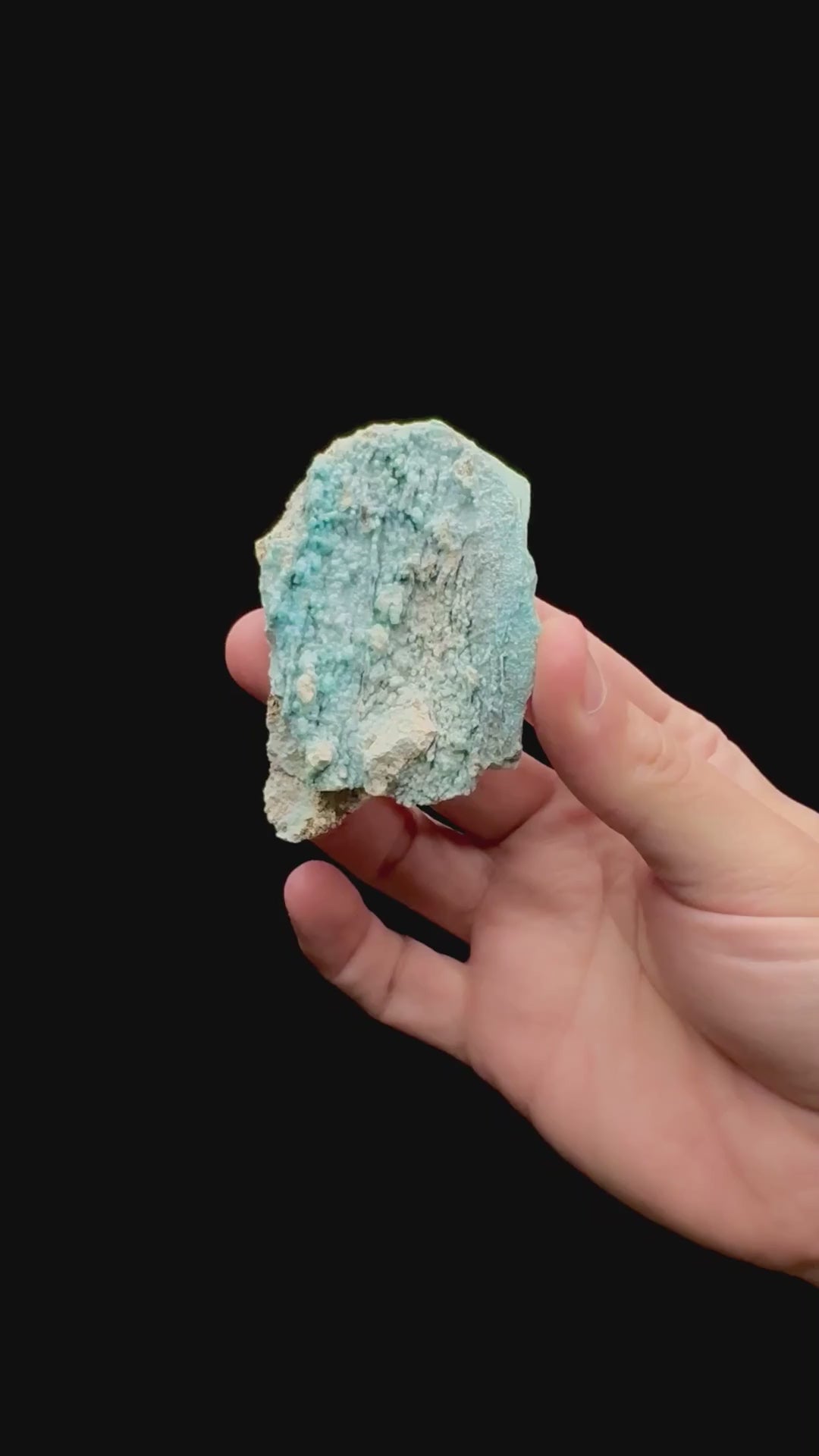 Specimen rotation video 146