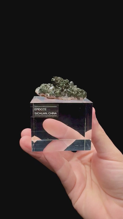 Specimen rotation video 141