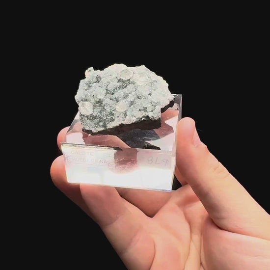 Specimen rotation video 527