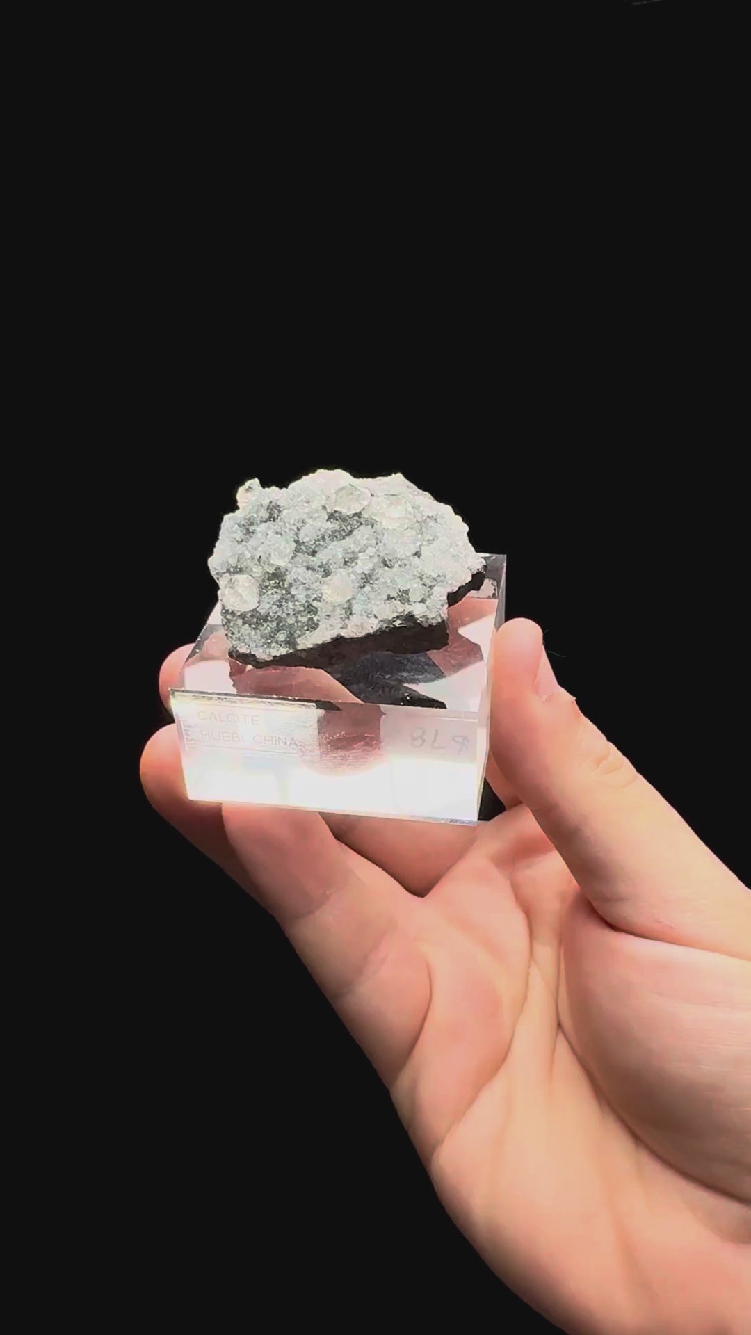 Specimen rotation video 527