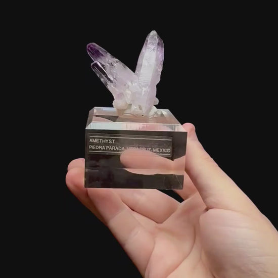 Specimen rotation video 0355