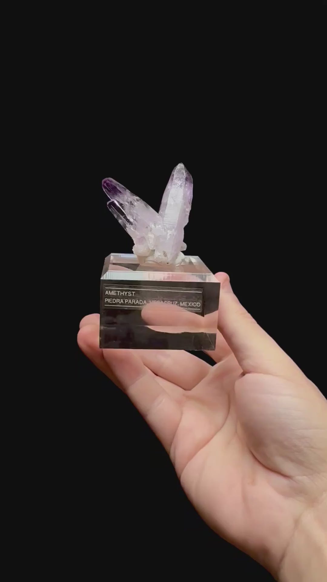 Specimen rotation video 0355
