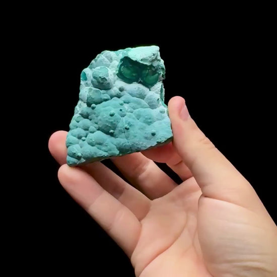 Specimen rotation video 0564