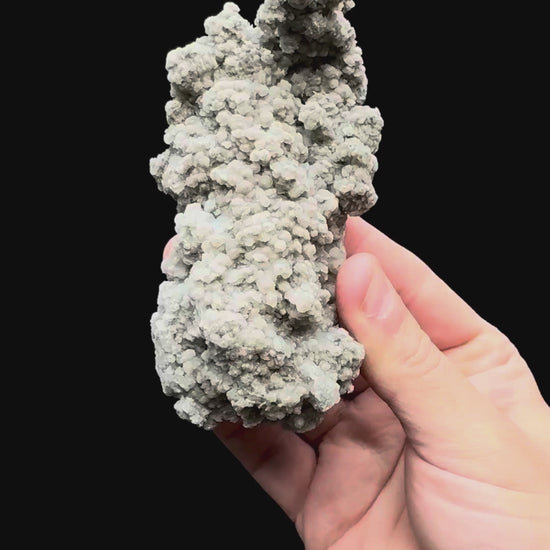 Specimen rotation video 032