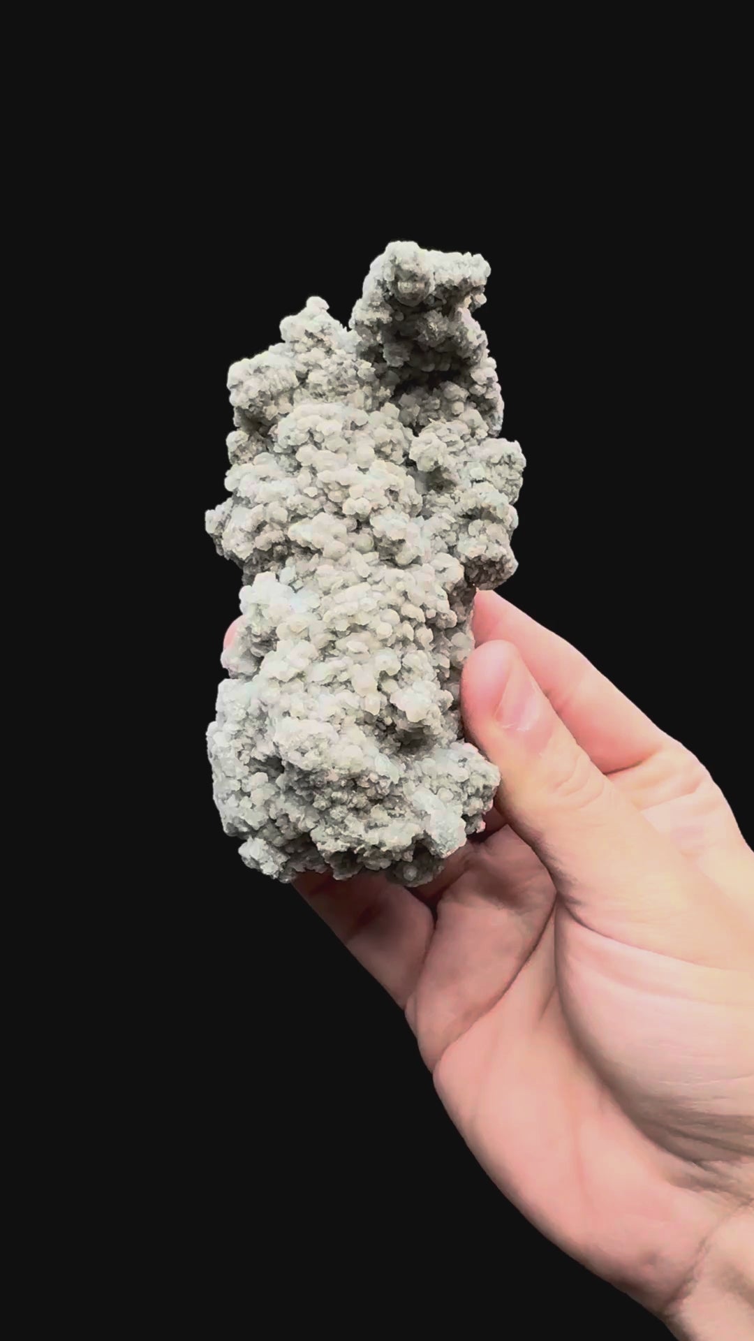 Specimen rotation video 032
