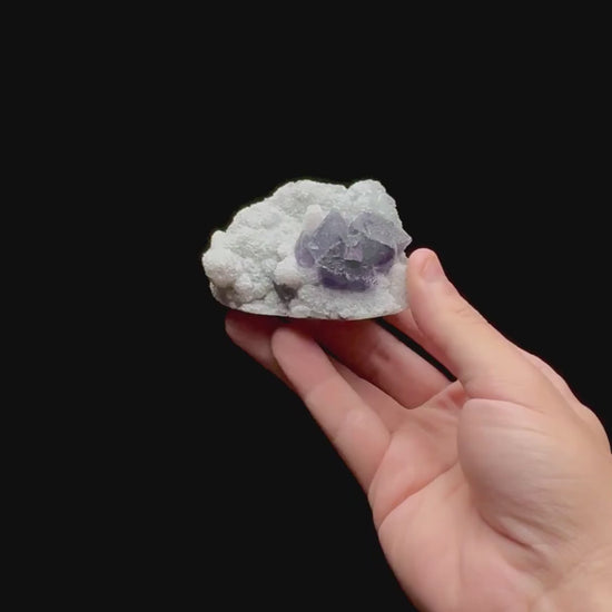 Specimen rotation video 0423