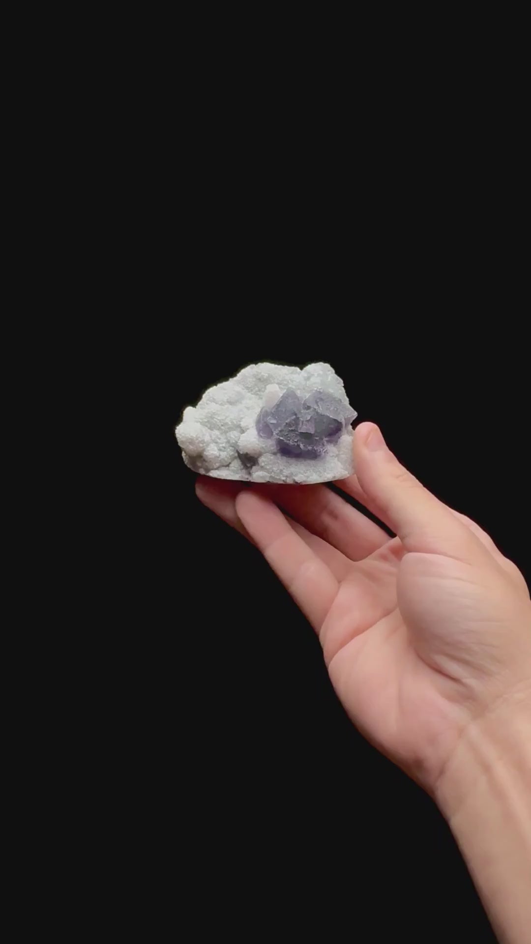 Specimen rotation video 0423